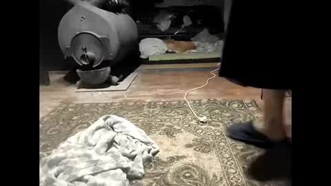 Snapshot of verynicelognlastingcock chatting on October 31, 9:37 pm verynicelognlastingcock online show from October 31, 9:37 pm