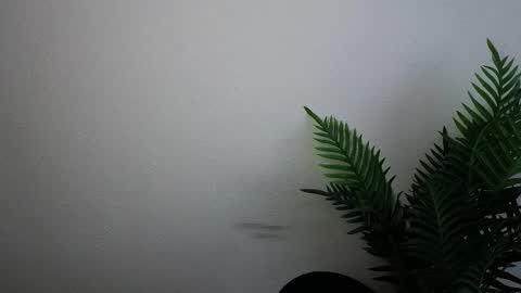 Ana online show from September 30, 12:15 pm