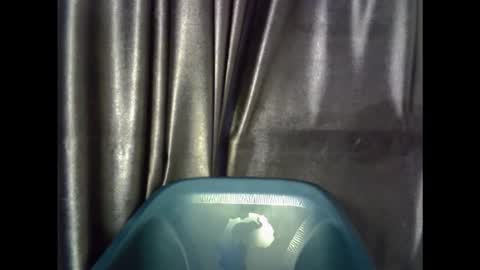 verywetpussy  online show from November 29, 7:38 am