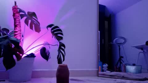 Vicky Greys online show from November 26, 8:27 pm