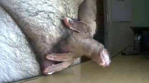 Snapshot of victorhume chatting on September 18, 10:36 pm VictorHume online show from September 18, 10:36 pm