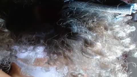 VICKY online show from February 14, 3:54 am