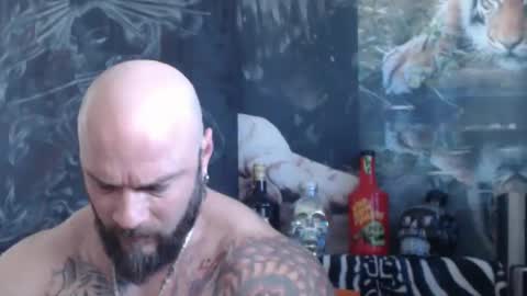 viking online show from April 28, 6:40 am