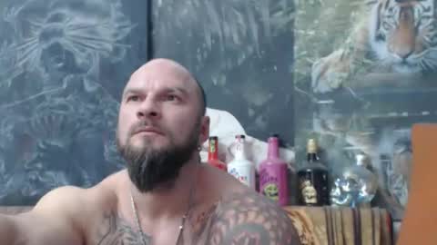 viking online show from December 13, 8:15 pm