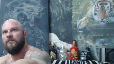 viking online show from April 26, 6:16 pm