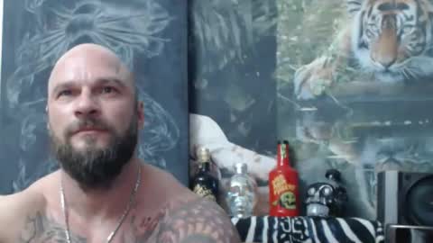 viking online show from April 21, 6:48 pm