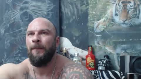 viking online show from April 16, 6:41 pm