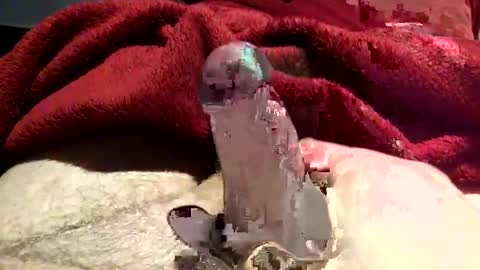 virtual_hand_player online show from January 31, 6:36 pm