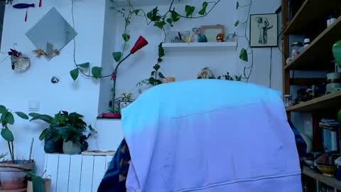 Viv online show from January 14, 8:41 am