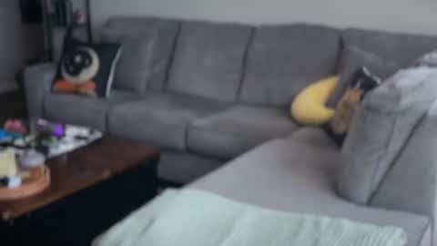 Liz online show from April 27, 3:53 pm