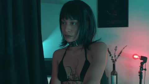 vortexspecter online show from November 13, 11:29 pm