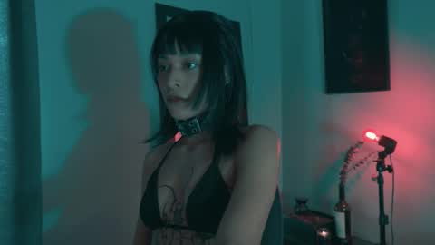 Snapshot of vortexspecter chatting on October 19, 8:46 pm vortexspecter online show from October 19, 8:46 pm