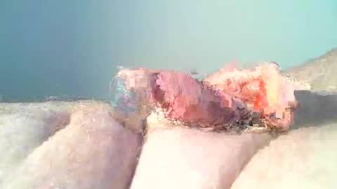 Snapshot of vukavuka99 chatting on December 28, 8:36 pm vukavuka99 online show from December 28, 8:36 pm