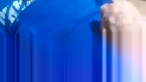 Hothardick online show from January 14, 7:22 pm