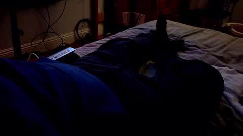 I love the ol in-n-out  online show from March 20, 3:22 am