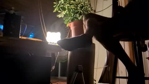 watershed111111 online show from January 12, 9:38 am