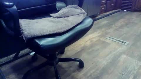 wayne1311 online show from February 3, 6:45 pm