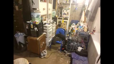 wcnmail24 online show from May 23, 3:19 pm