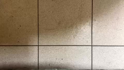 webchatter99 online show from January 2, 7:33 am