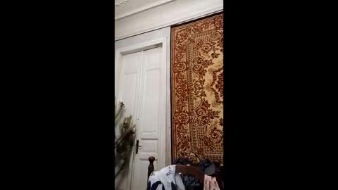 Marina online show from February 26, 4:16 pm