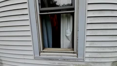 wellendowed24 online show from September 21, 7:51 pm