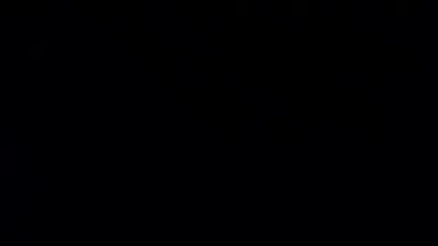 whitehead_lion online show from January 20, 7:57 pm