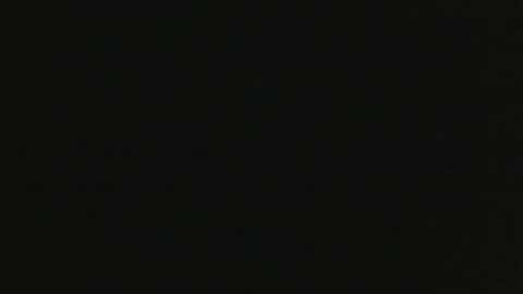 whitehead_lion online show from October 19, 12:54 pm