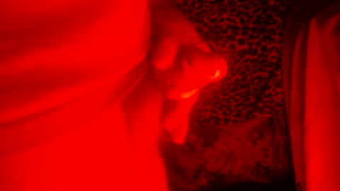 whor4mor online show from December 27, 1:39 pm