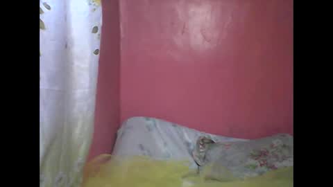 Snapshot of wild_sunflower11 chatting on December 25, 3:40 am wild_sunflower11 online show from December 25, 3:40 am