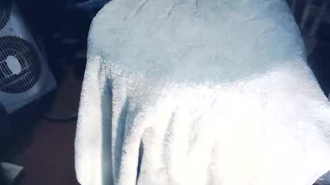 wildman6 online show from January 9, 8:58 pm