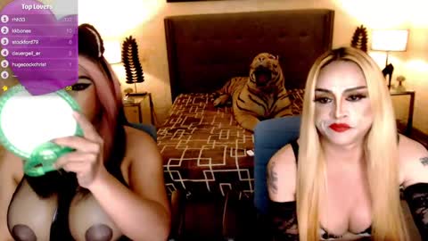 wildtransjhade online show from January 9, 11:14 am