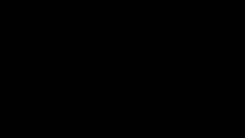 willy_dirk online show from September 9, 7:08 am