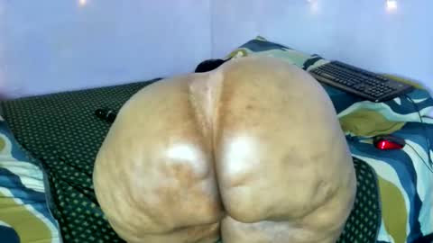 wilmaassylum online show from November 21, 7:28 am