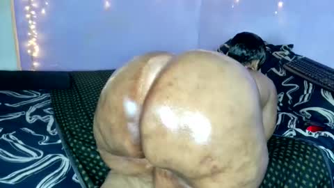 wilmaassylum online show from November 20, 6:12 am