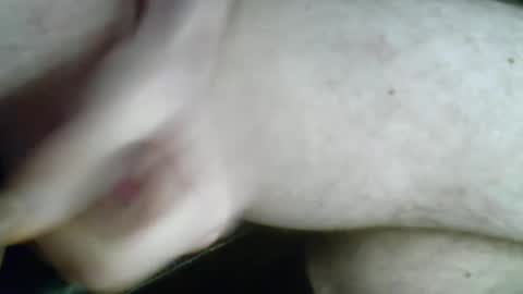 wimol12 online show from December 7, 1:57 pm