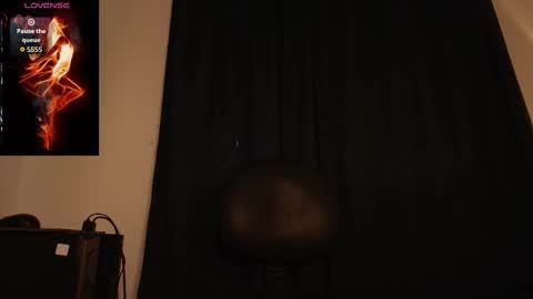  W O L F  online show from September 30, 11:42 am