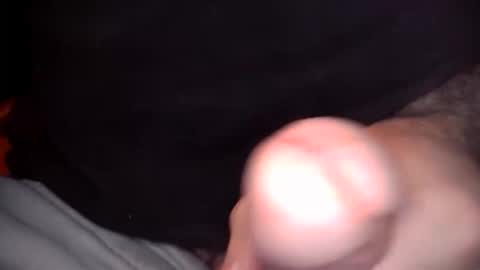 wolphox online show from November 6, 5:16 pm