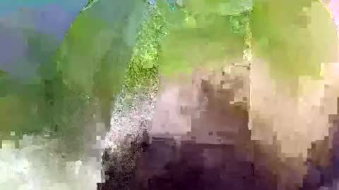 Wowizowi online show from October 10, 11:27 am