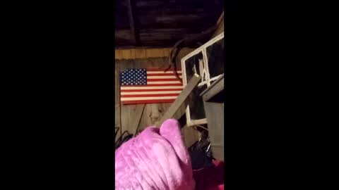 wowsers7 online show from March 25, 4:41 am