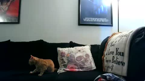 Crystal Lake online show from September 12, 7:32 am