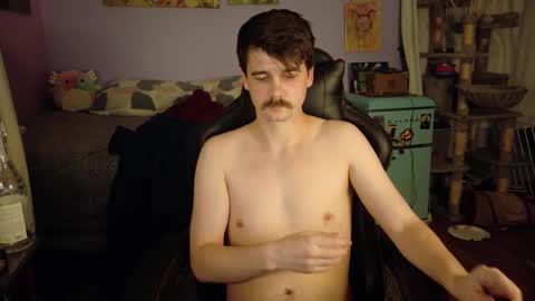 Wyatt online show from January 17, 7:29 am