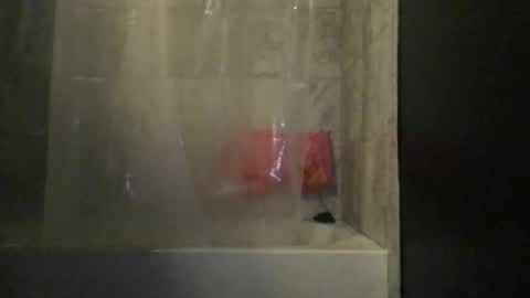 xandertecoje online show from March 25, 2:57 pm