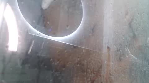 Andres online show from February 3, 11:42 am