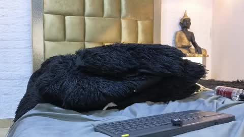ximena online show from May 17, 8:18 pm