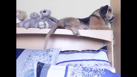 Miss Ria online show from February 6, 11:24 am