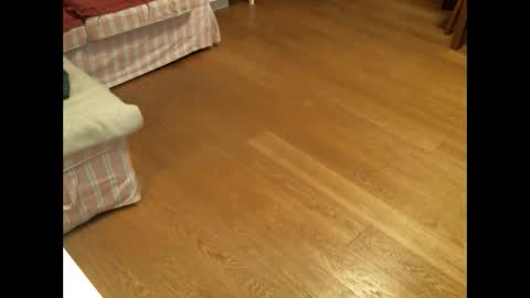 xmystiqdreamsx online show from January 26, 12:01 pm