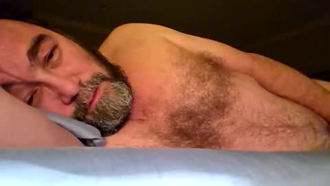 xPalidin online show from December 17, 11:28 am