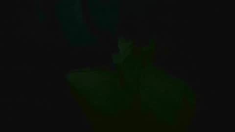 xposed_edger online show from March 2, 5:33 am