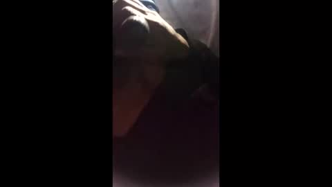 yairhitzel online show from February 11, 9:24 am