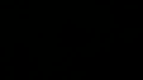 yankees1984 online show from January 12, 1:32 am